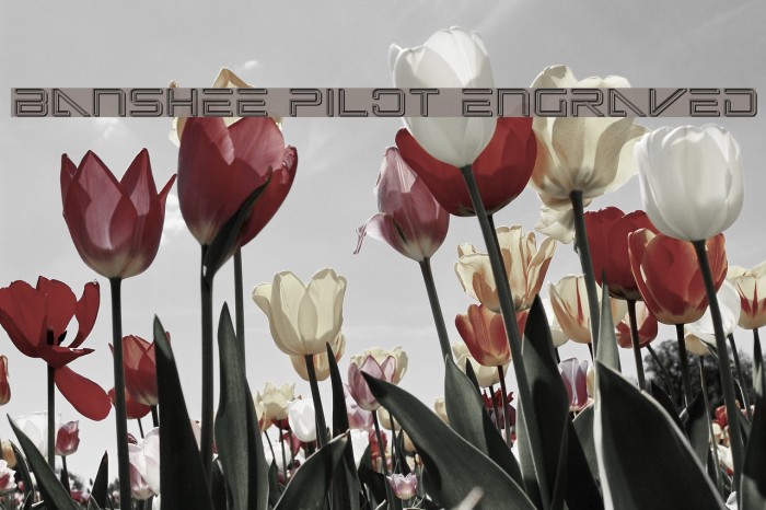 Banshee Pilot Engraved Font examples