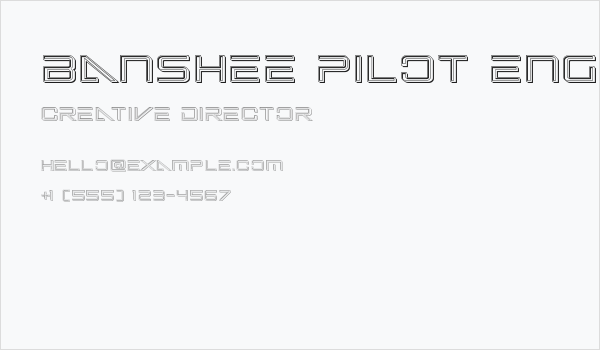 Banshee Pilot Engraved Business Card