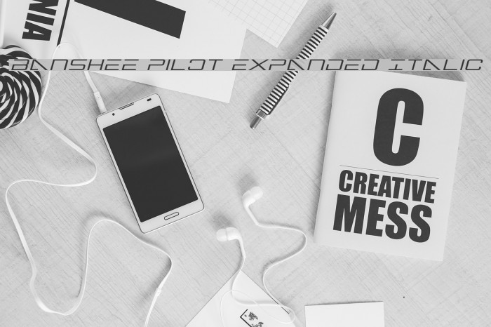 Banshee Pilot Expanded Italic Example 1