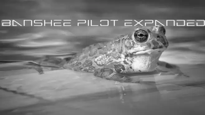 Banshee Pilot Expanded Font examples