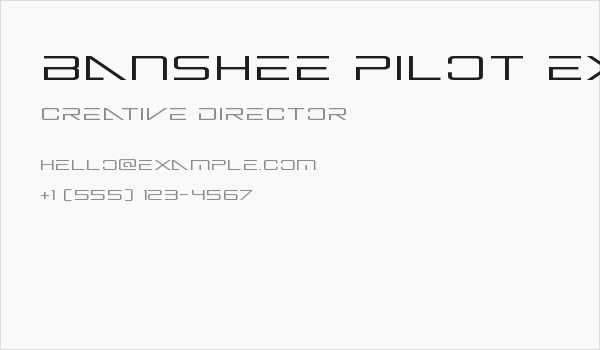 Banshee Pilot Expanded Business Card