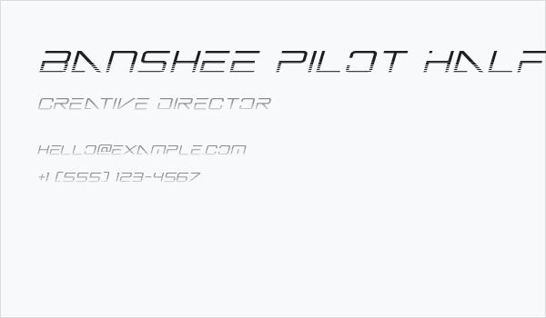 Banshee Pilot Halftone Italic Business Card