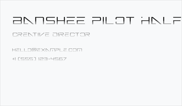 Banshee Pilot Halftone Business Card