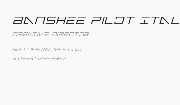 Banshee Pilot Italic Business Card