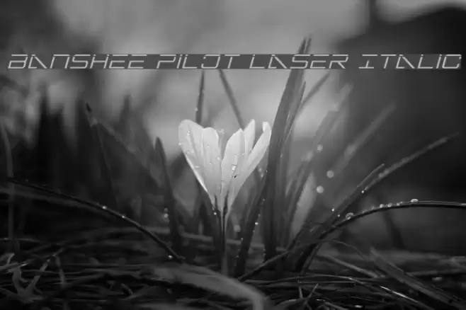 Banshee Pilot Laser Italic Font examples