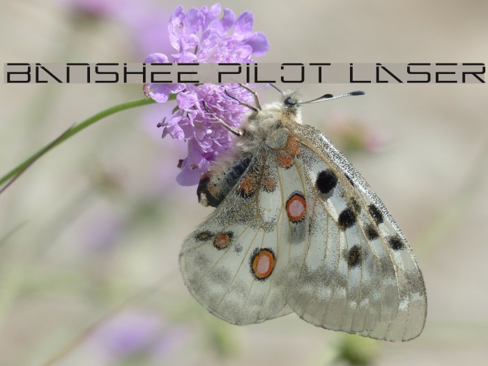 Banshee Pilot Laser Font examples