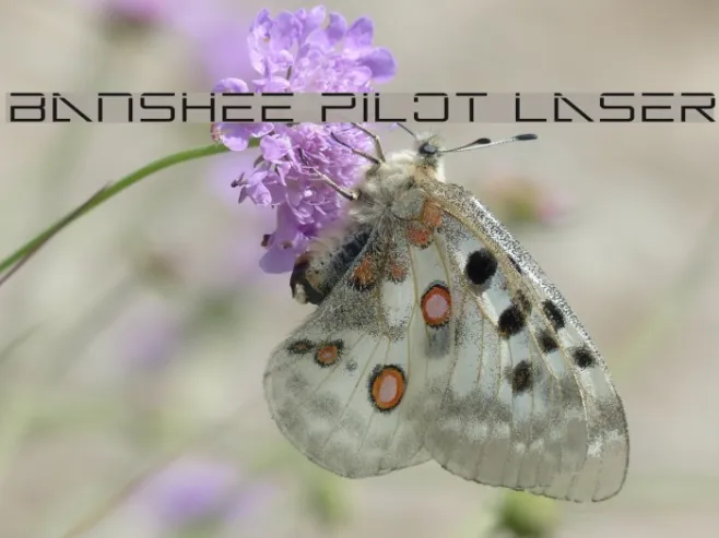 Banshee Pilot Laser Example 1