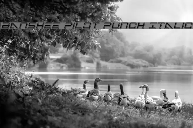 Banshee Pilot Punch Italic Font examples