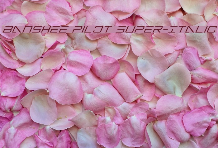 Banshee Pilot Super-Italic Font examples