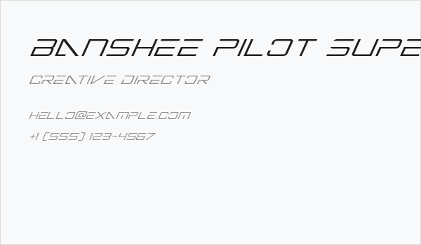 Banshee Pilot Super-Italic Business Card