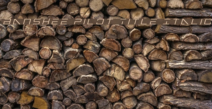 Banshee Pilot Title Italic Font examples