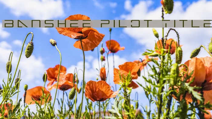 Banshee Pilot Title Font examples