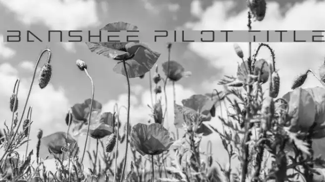 Banshee Pilot Title Example 3