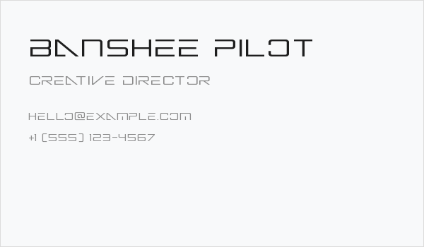 Banshee Pilot Business Card