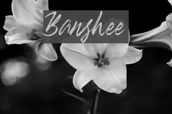 Banshee Font examples