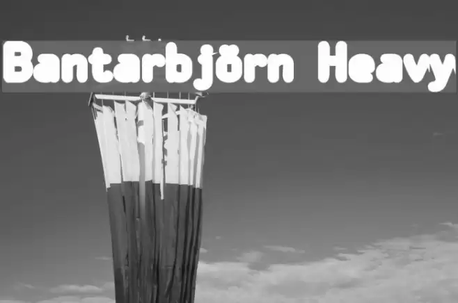 Bantarbjörn Heavy Caratteri examples