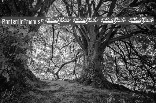 BantenUnfamous2DEMO Font examples