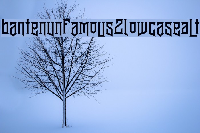 BantenUnfamous2LowcaseAlt Font examples