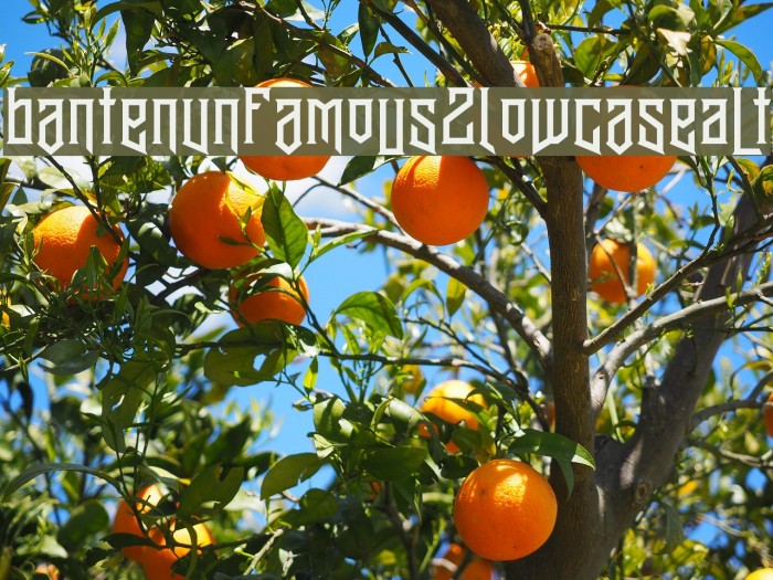 BantenUnfamous2LowcaseAlt Font examples
