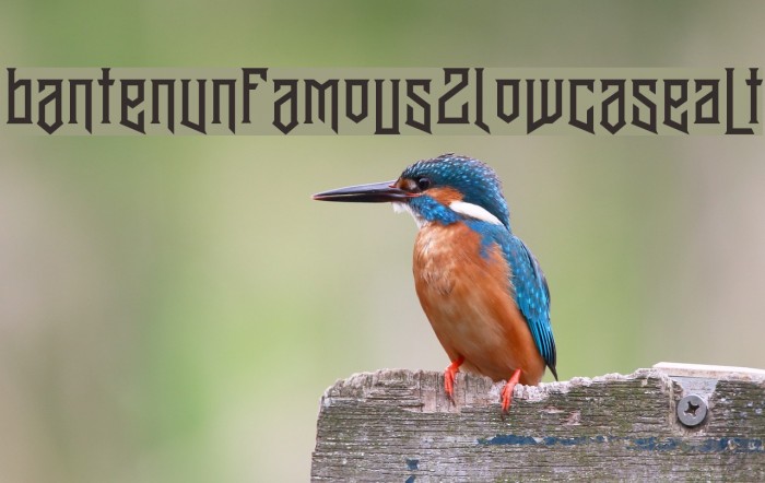 BantenUnfamous2LowcaseAlt Font examples