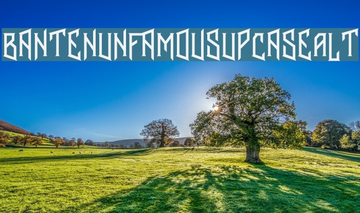BantenUnfamous2UpcaseAlt Font examples