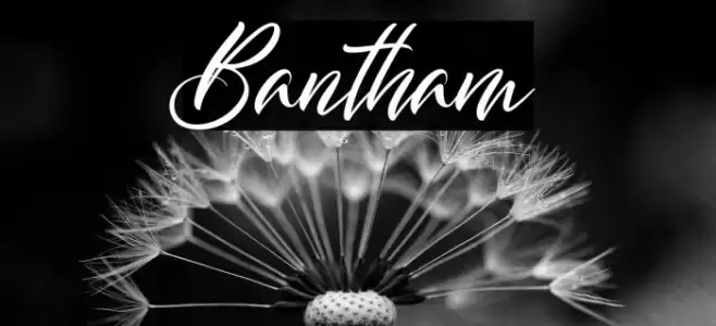 Bantham Font examples