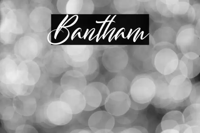 Bantham Font examples