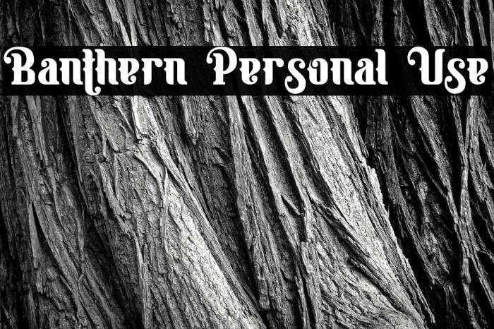 Banthern Personal Use Example 1