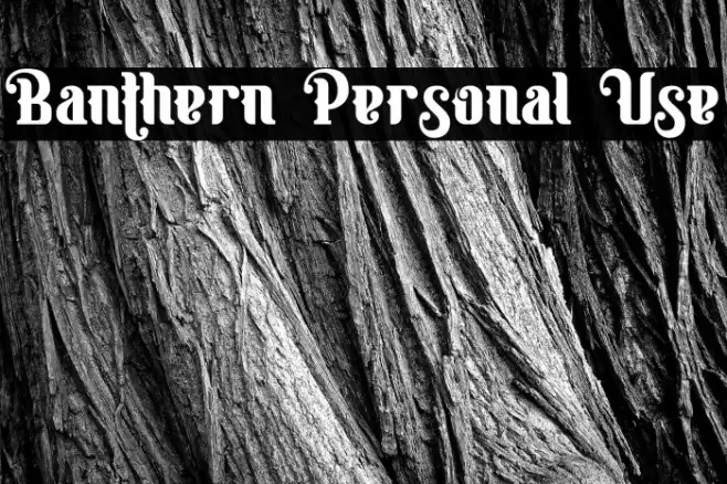 Banthern Personal Use Example 1