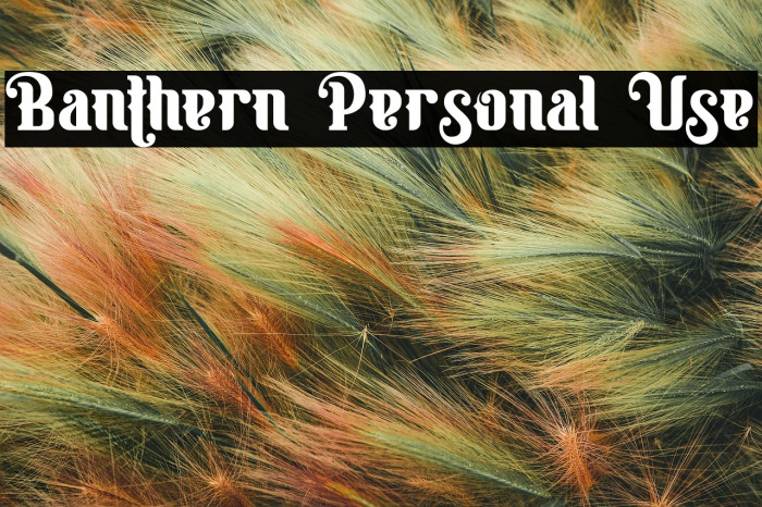 Banthern Personal Use Example 3