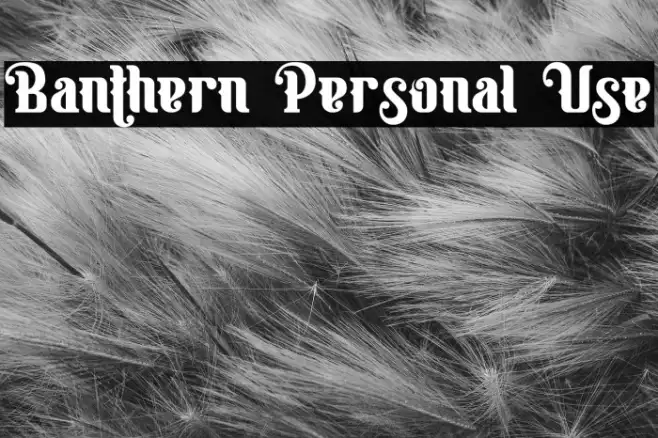 Banthern Personal Use Example 3