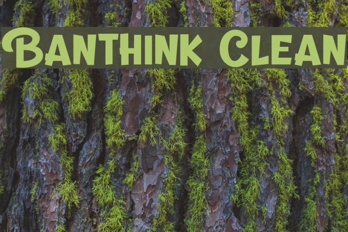 Banthink Clean Font examples