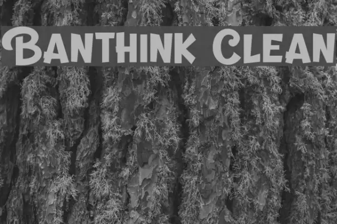 Banthink Clean Example 1