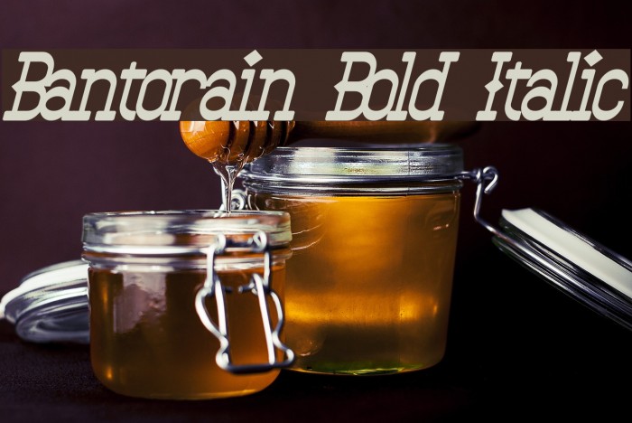 Bantorain Bold Italic Example 3