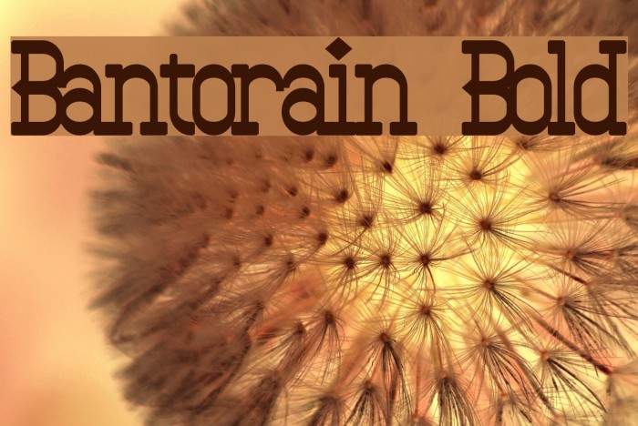 Bantorain Bold Font examples
