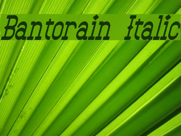 Bantorain Italic Example 1