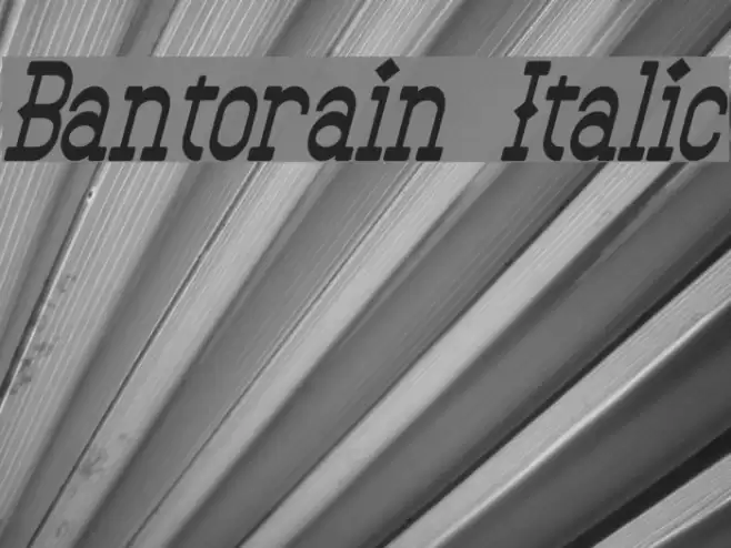 Bantorain Italic Font examples