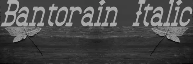 Bantorain Italic Font examples