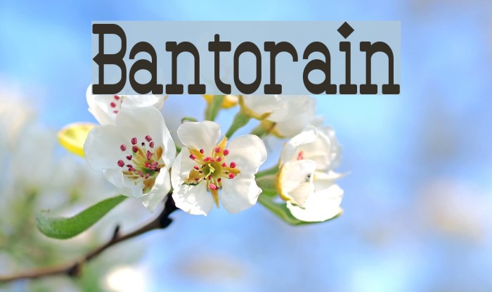 Bantorain Шрифта examples