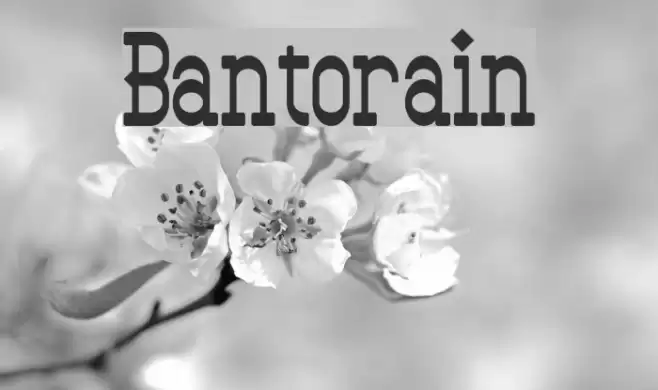 Bantorain Font examples