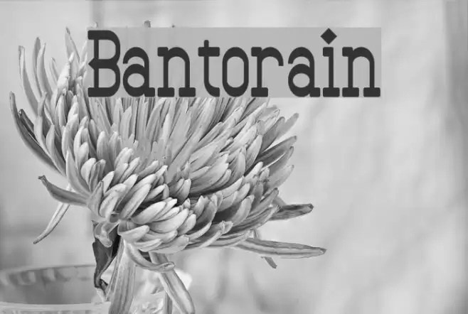 Bantorain Font examples