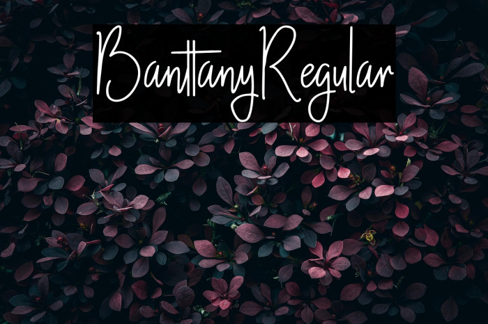 Banttany-Regular Example 1