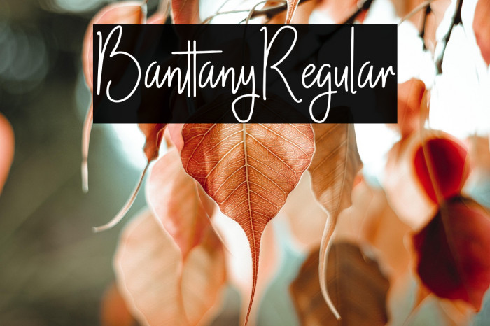 Banttany-Regular Example 3