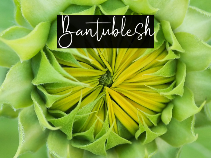 Bantublesh Example 1