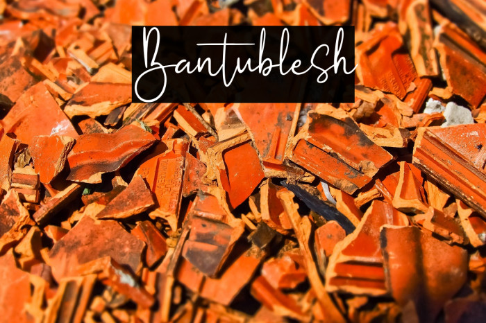 Bantublesh Example 2