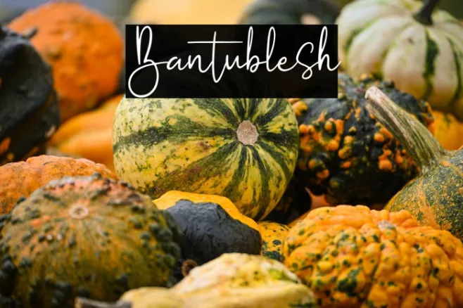 Bantublesh Example 3