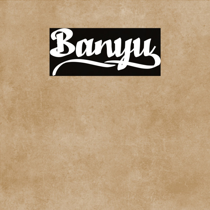 Banyu_ Example 1
