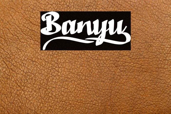 Banyu_ Example 2