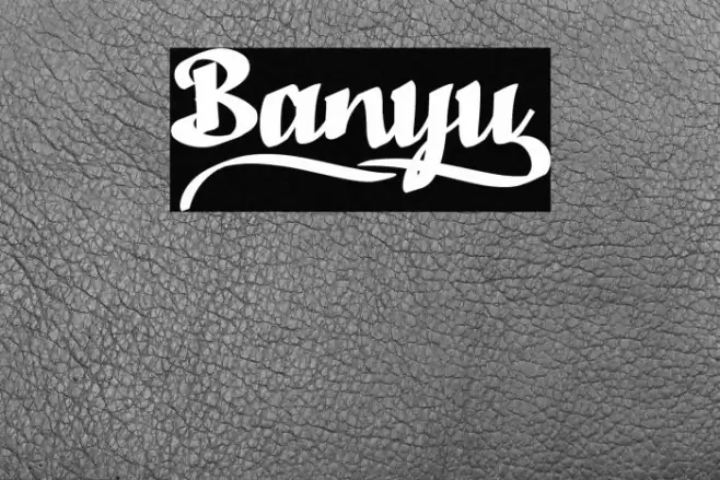 Banyu_ Font examples