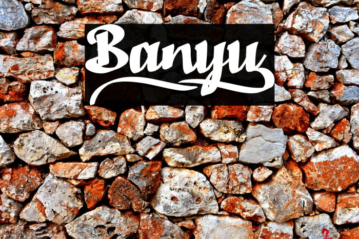 Banyu_ Example 3